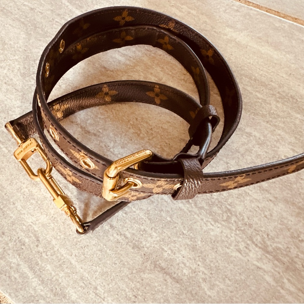 Louis Vuitton Adjustable Monogram Strap - image 4